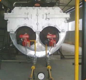 Steam boiler fitted with Riello burners