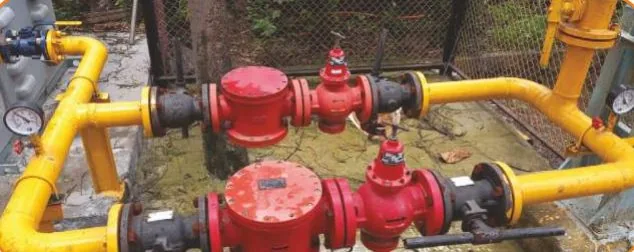 Gas Piping & Installation